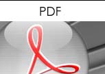 PDF